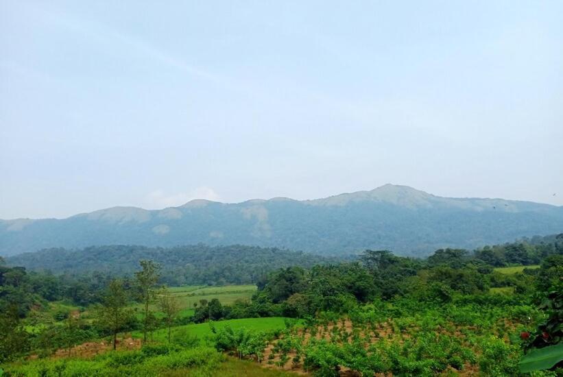 Himani Heritage Resorts, Formerly Camp Nishani Holidays Madikeri Zewnętrze zdjęcie