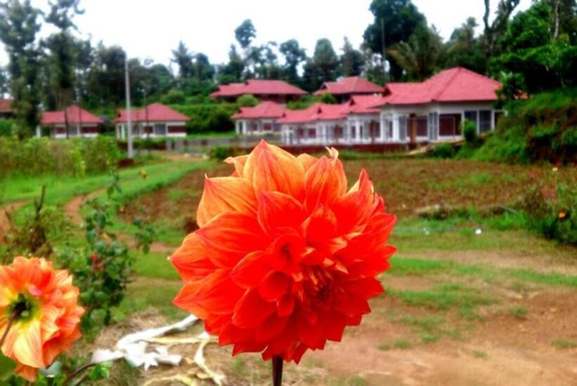 Himani Heritage Resorts, Formerly Camp Nishani Holidays Madikeri Zewnętrze zdjęcie